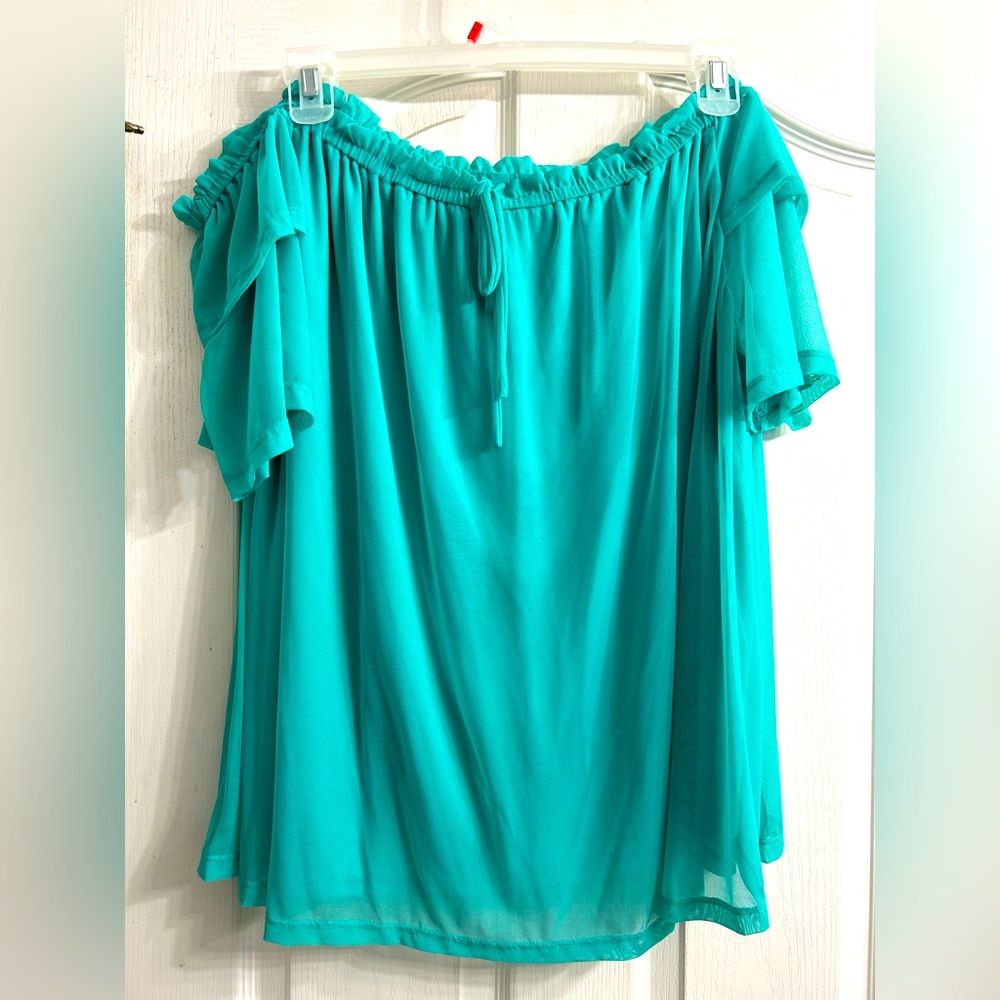 In Every Story (Pennington) Off Shoulder Teal Mesh Top - 2x
